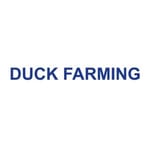 DUCK FARMING