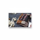 ... ...