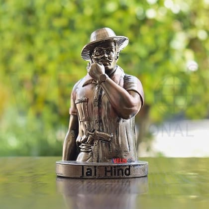 WELNO Bhagat Singh Statue Indian Freedom Fighter Figurine for Home Office Table Décor