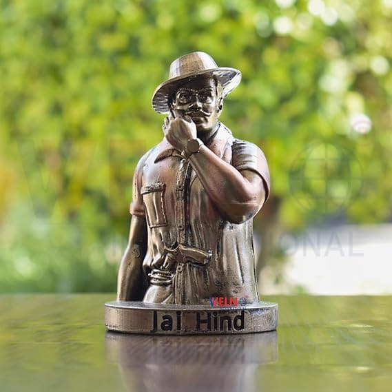 WELNO Bhagat Singh Statue Indian Freedom Fighter Figurine for Home Office Table Décor