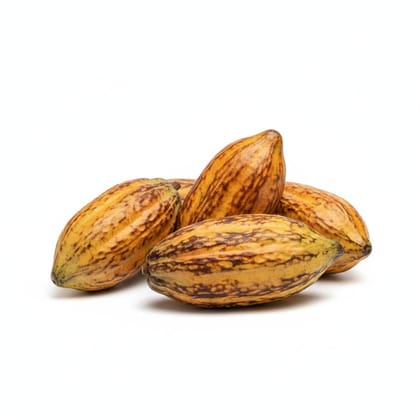 Fresh Raw Cocoa Pods - 1 kg - 1kg pack of assorted cocoa pods