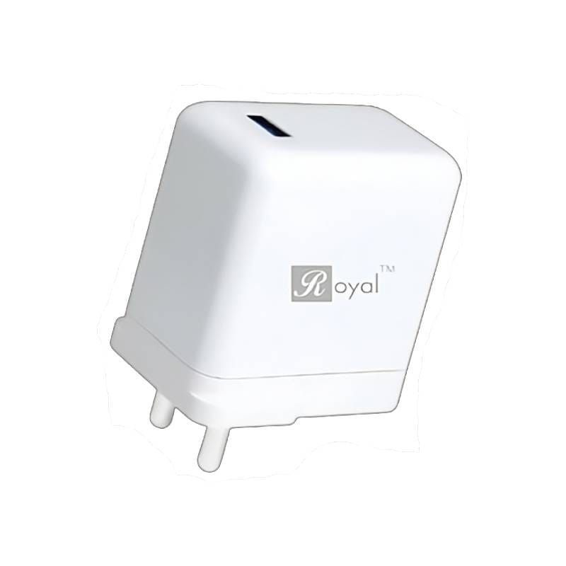 Royal 120W Fast Charging Adapter 
