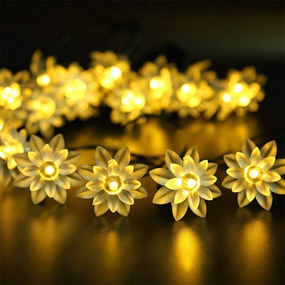 GLOWSERIE Golden Blossom LED Fairy Lights for Home & Party Decor