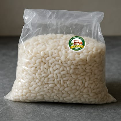 Kamla Shopping Center's idli rice