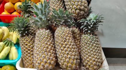Pineapple 1 Pcs