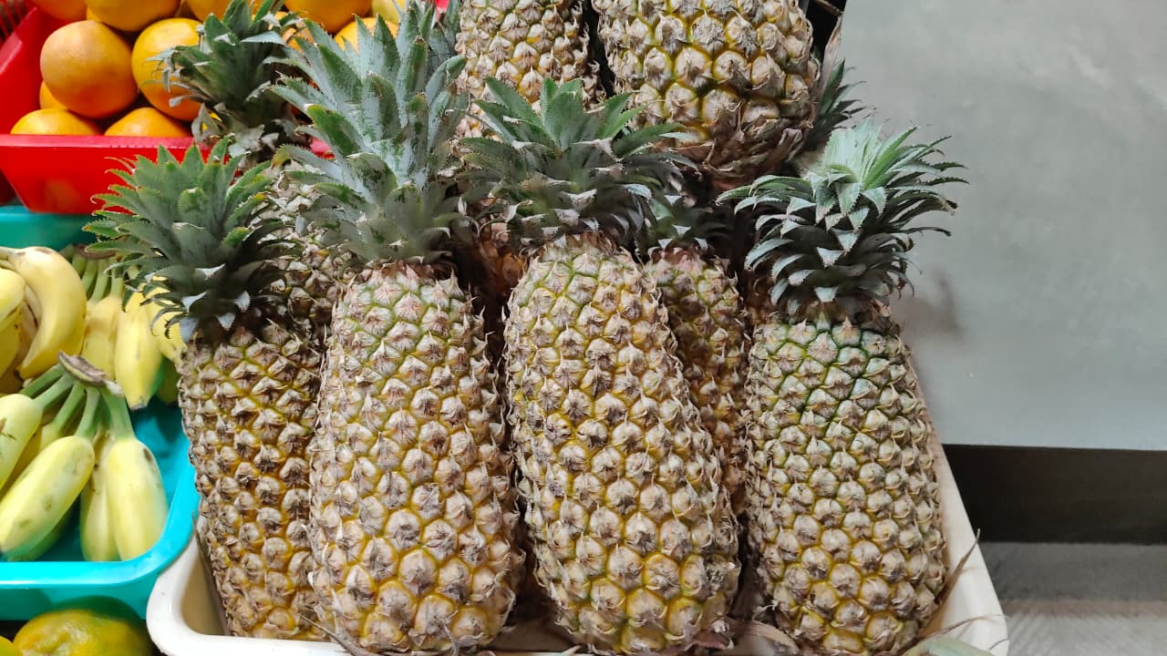 Pineapple 1 Pcs