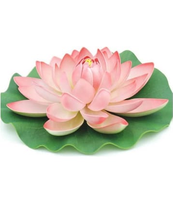Green plant indoor Lotus Multicolour Floating Flowers - Pack of 1