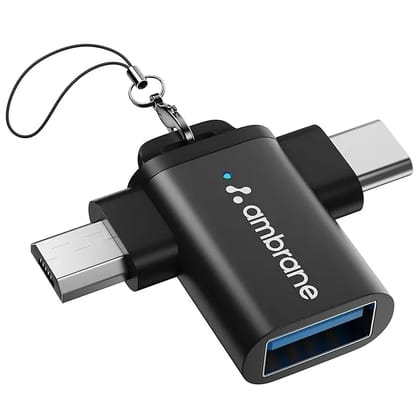 2 in 1 OTG Adapter | Type-C