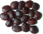 ... ...