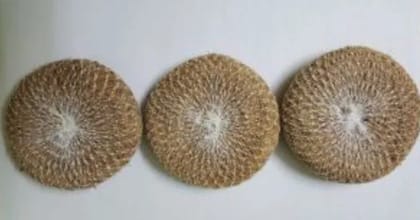 Body scrub pad