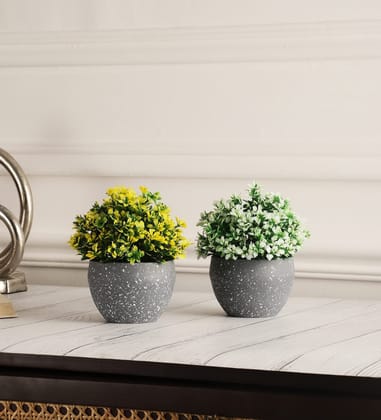 Foliyaj Set of 2 Artificial Plants with Small White and Yellow Leaves with pots|Bonsai Tree|Artificial Flower|with Pot|Home D�cor for Living Room Home Office Shop|House|Gift|Decoration
