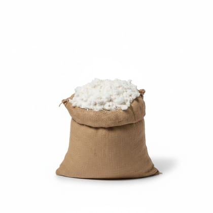 Raw Cotton in Jute Sack - 10 kg - One jute sack