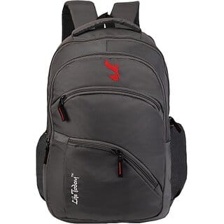 Life Today Large 38 L Laptop Backpack 15.6 Inch Laptop Backpack Grey bags (Grey)