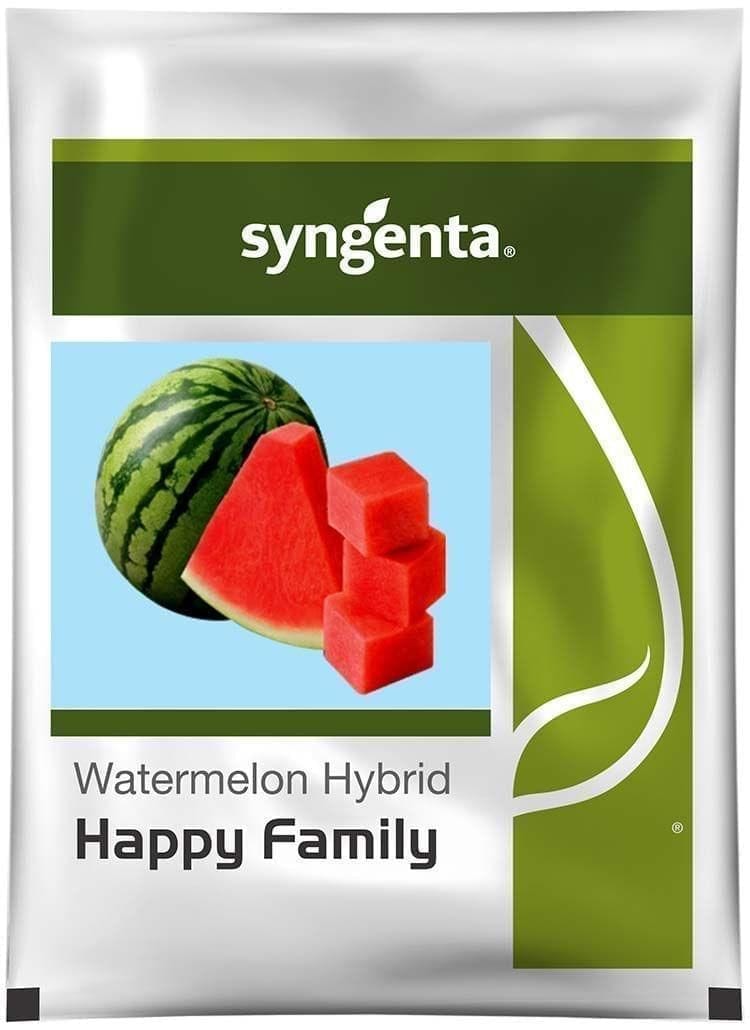 HAPPY FAMILY