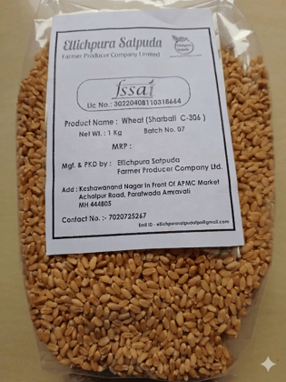 Ellichpura Satpuda FPO Wheat Grains 1 kg Premium Quality Natural Whole Wheat