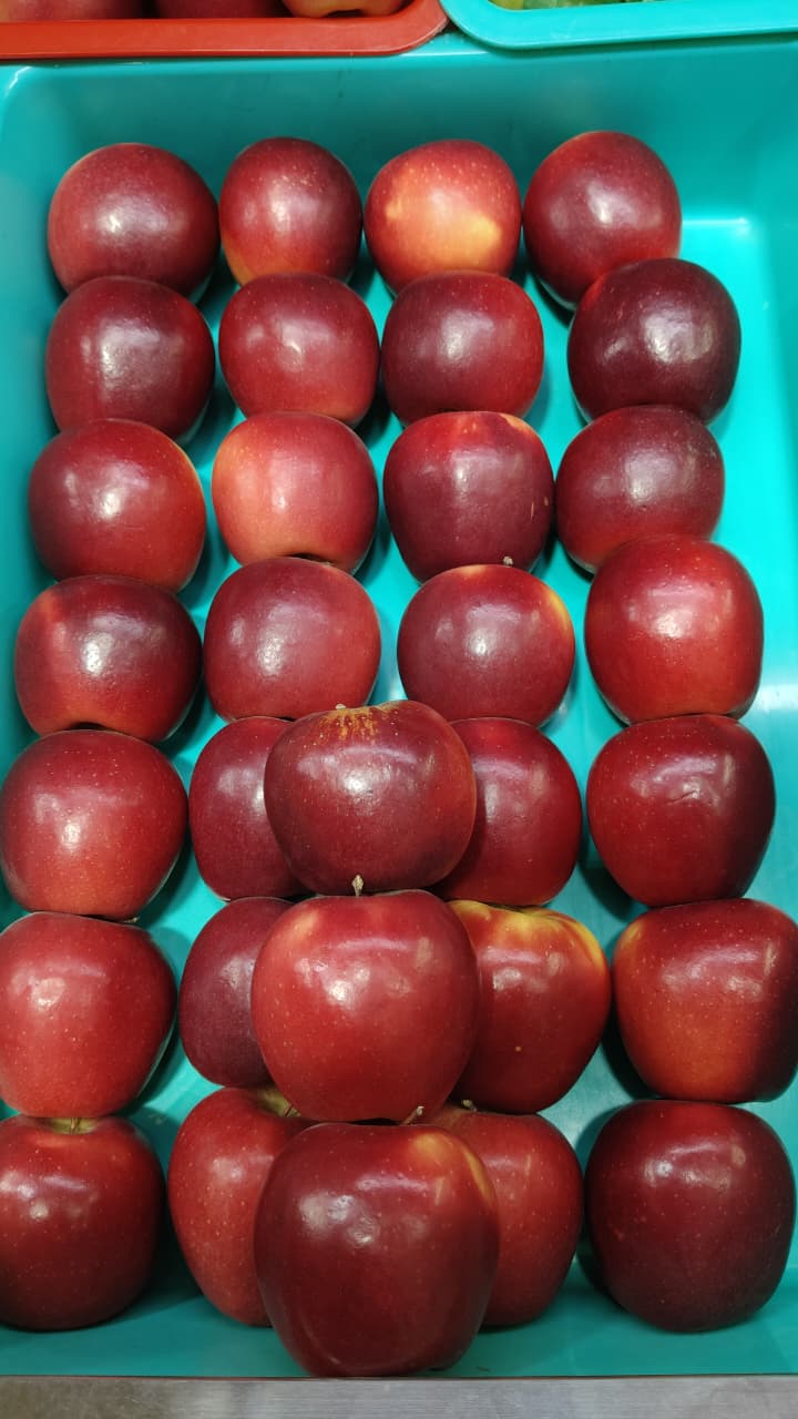 Rockit Apple 1 KG