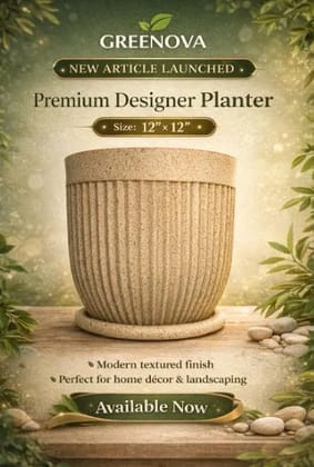 Crown pot 12