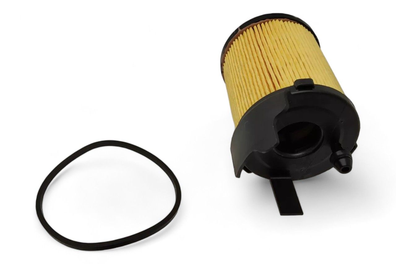 Ford Oil Filter 2S6Z6731E