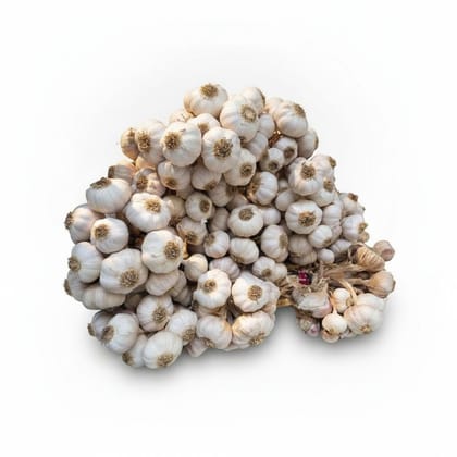 Fresh Garlic Bulbs - 1 kg - One bundle of garlic bulbs