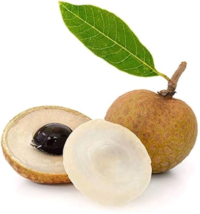 Longan Thai - Longan - Thai Lychi- Lytchee- Lichi 1 KG