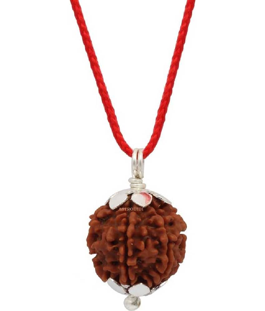 Astrodidi 6 Mukhi Rudraksha Pendant With Lab Certificate