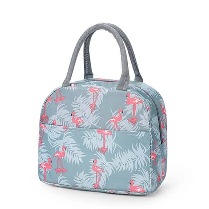 Insulated Lunch Bag for Adults, Men & Women | Reusable Leakproof Lunch Box Tote Bag | Portable Thermal Cooler Food Bag for Office, Work, School, Travel & Picnic (Color & Design May Vary)