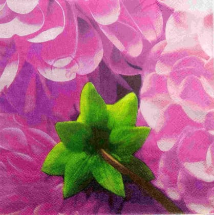 Decoupage Napkin / Tissue papers - LGT1851