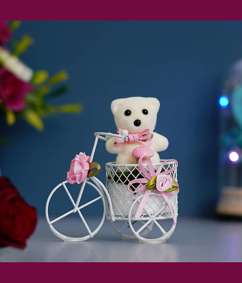 eCraftIndia White & Pink Cycle with Teddy Bear Valentine Gift Set