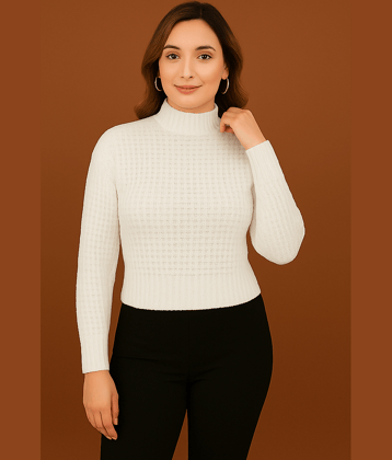 FEVERFEW Women Woollen Round Neck Pullover ( Brown )