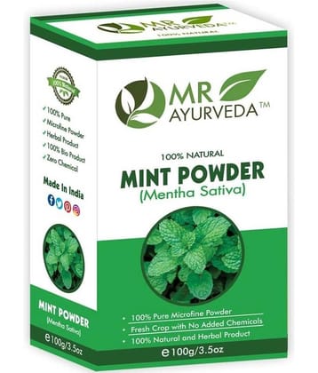 MR Ayurveda Pudina Powder | Mint Powder Face Pack Masks 100 gm