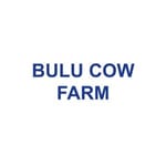 BULU COW FARM