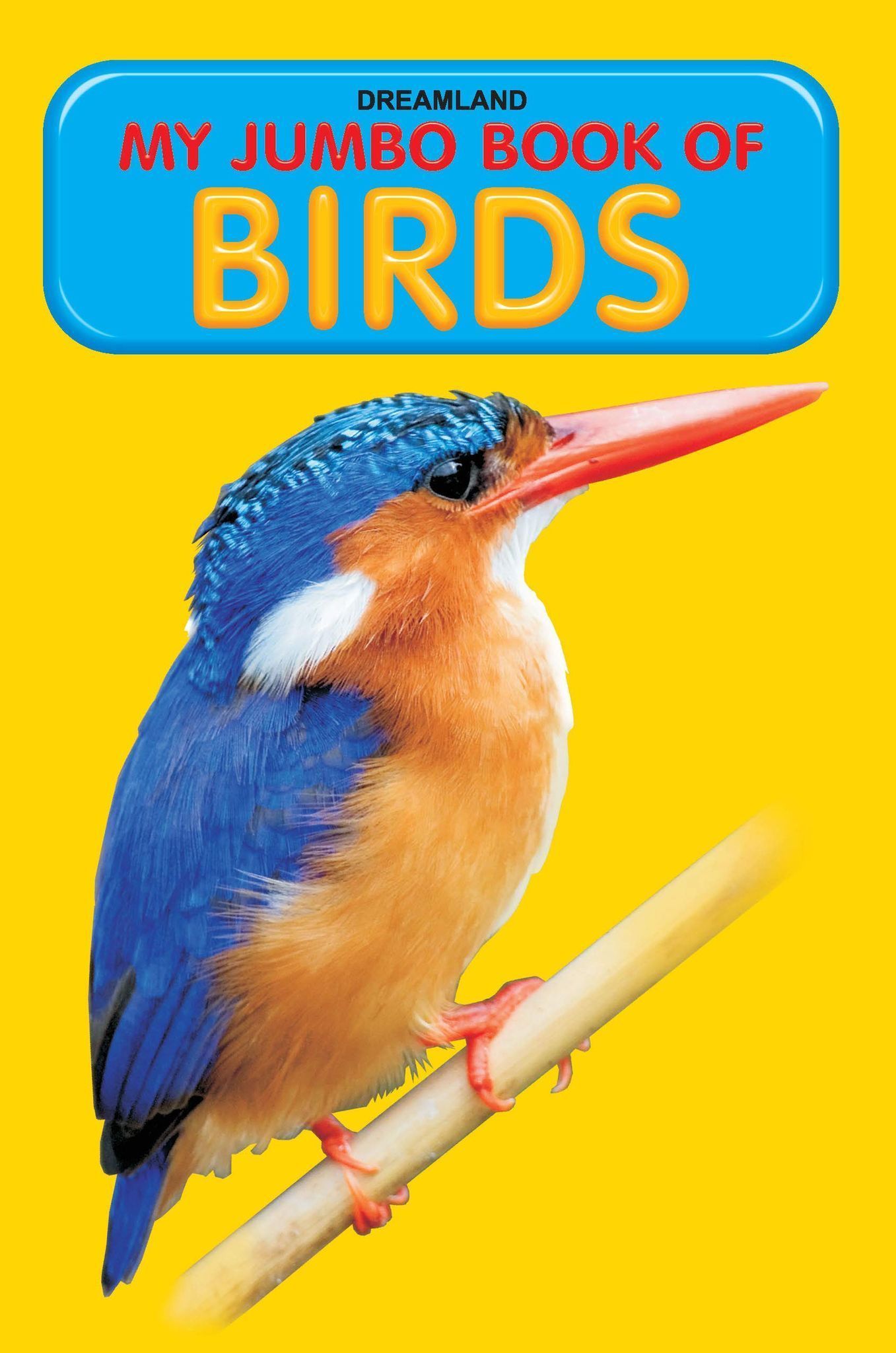 Birds Jumbo Picture Book - A3 Size Book with Big Pictures for Early Learners (My Jumbo Books) [Paperback] Dreamland Publications [Paperback] Dreamland Publications