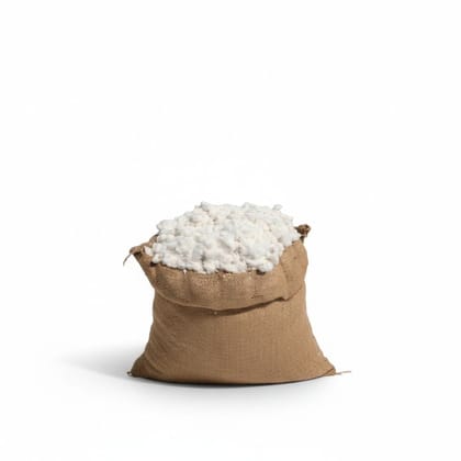 Raw Cotton Fiber - 10 kg - One burlap sack containing raw cotton