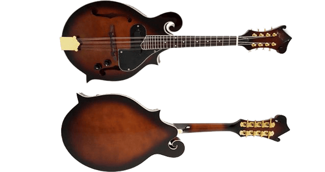 Mandolin- F Style F Cut- Electric