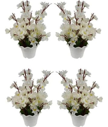 Green plant indoor Orchids Multicolour Flowers With Pot - Pack of 4