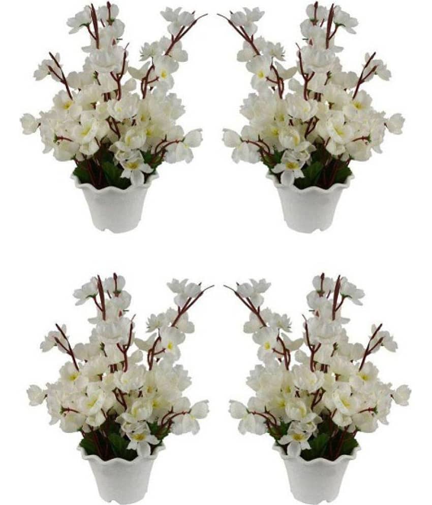 Green plant indoor Orchids Multicolour Flowers With Pot - Pack of 4