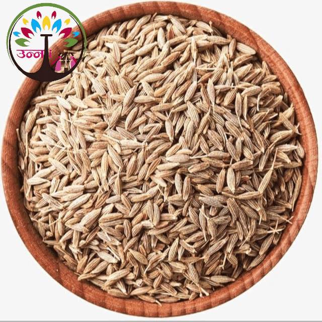 Prerna Unnati Cumin Seeds or Jeera 100g