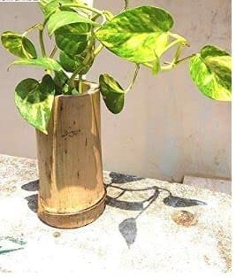Wall Hanging Pot Planter, Bamboo POTS for Wall Hanging Planter Wall Hanging Pot Planter, Bamboo POTS for Wall Hanging Planter