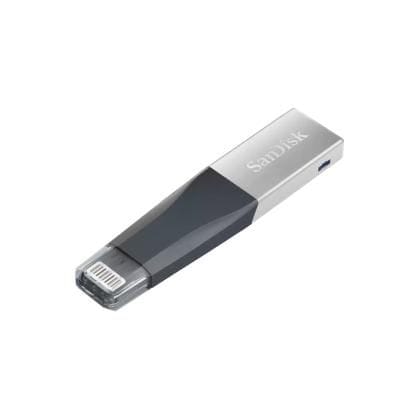 Sandisk 256 GB iXpand Mini Flash Drive