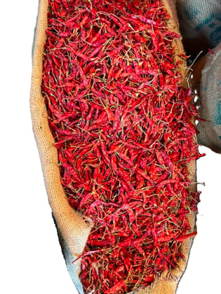 Paddhati Teja Whole Dry Red Chili 200g | Sabut Lal Mirch | Premium and Natural