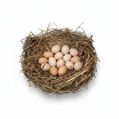 Farm Fresh Eggs - 2 kg - One dozen eggs