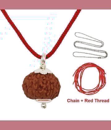 Astrodidi 7 Mukhi Rudraksha / Seven Face Small Indonesian Java Rudraksha with Lab Report