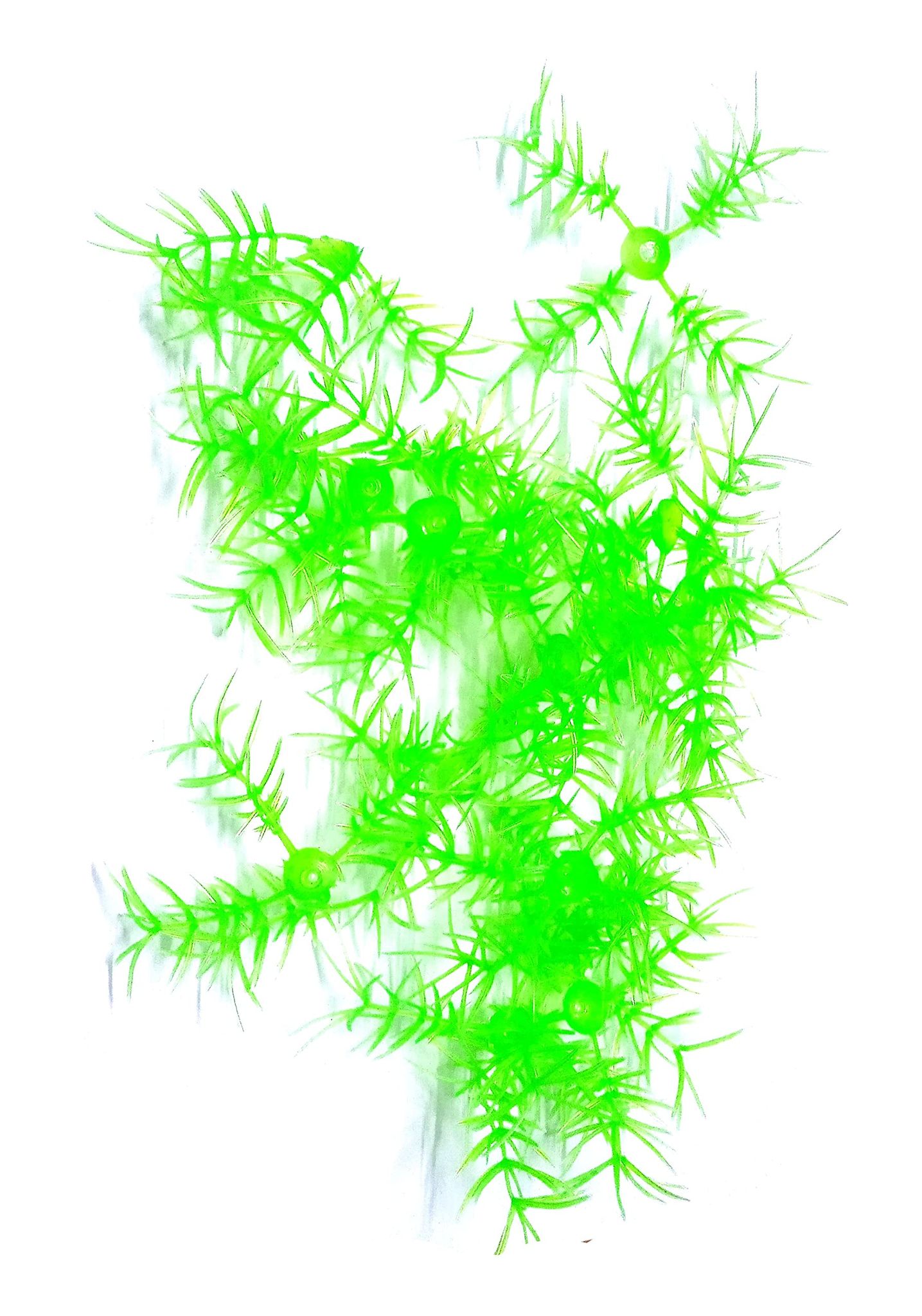 nawani School Project Grass 1 Packet (Around 35 pic Grass), Size 7/7 cm-Green