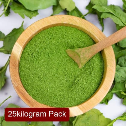 Premium Spinach Powder (25kg Bulk) | Spray Dried Instant Soluble | Natural Superfood Colorant Premium Spinach Powder (25kg Bulk) | Spray Dried Instant Soluble | Natural Superfood Colorant