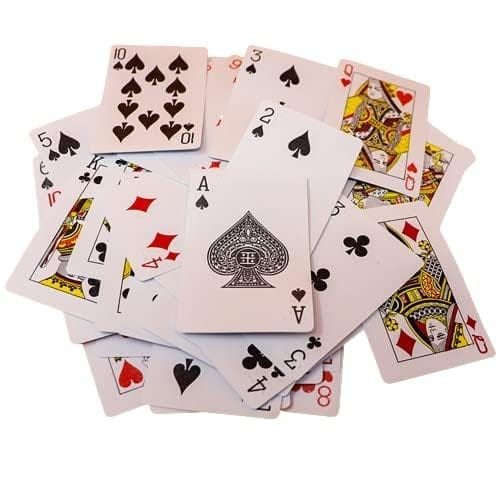 FAIRBIZPS Accessible Braille Playing Cards for Everyone | Fun & Inclusive Card Game for Visually Impaired Players | Perfect for Family Game Nights Pack of 2