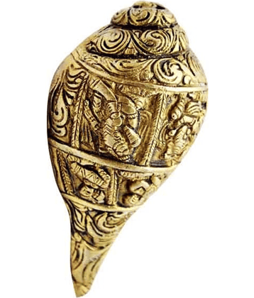 DvR ClicK - Shankh 15 cm ( Pack of 1 )