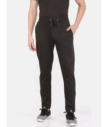 Dollar Athleisure - Grey Cotton Men's Trackpants ( Pack of 1 )