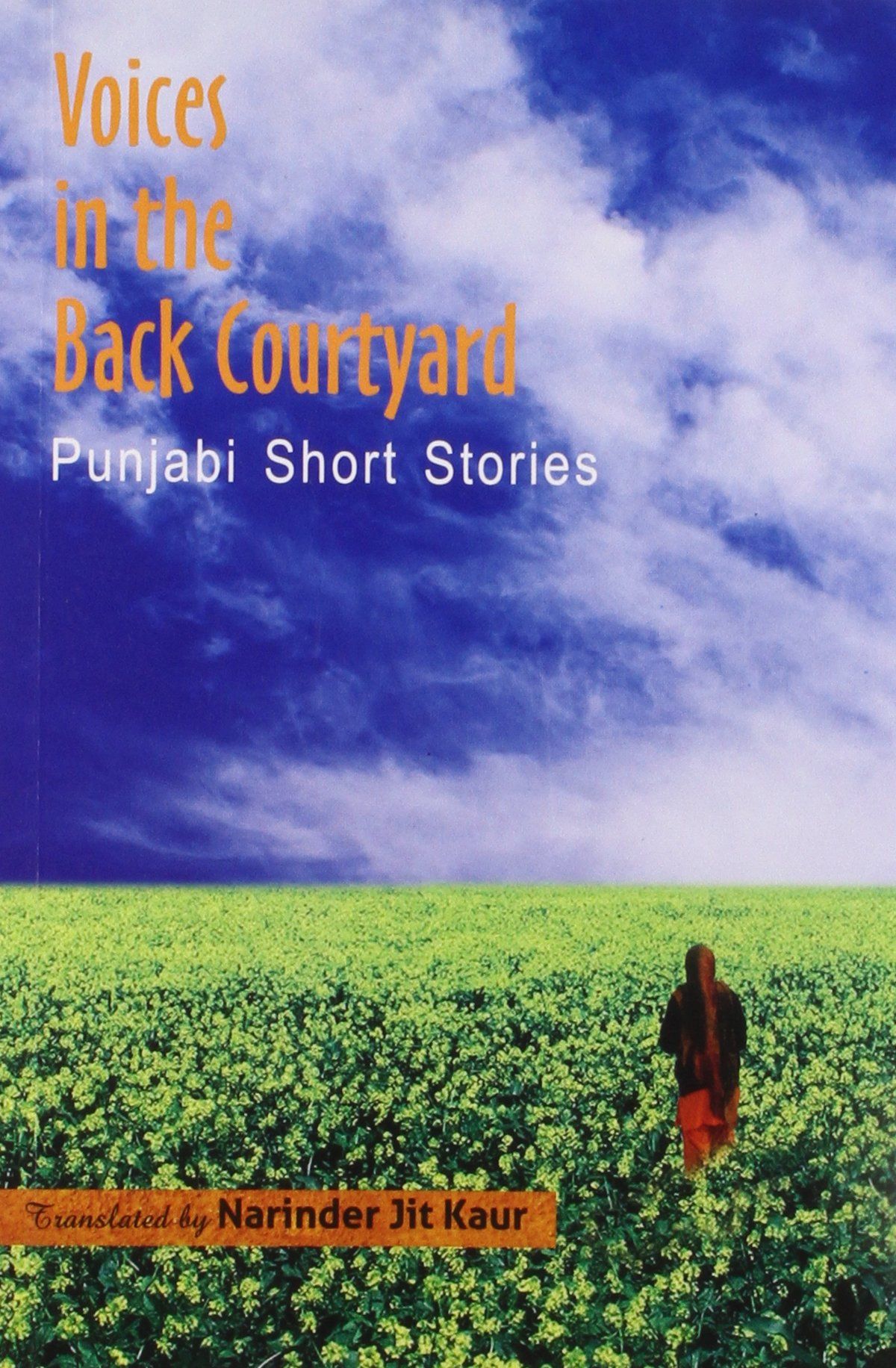 Voices in the Back Courtyard: Punjabi Short Stories