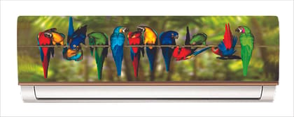 DreamKraft Beautiful Parrot Sitting Tree AC Sticker (Multicolor PVC Vinyl, 30cm X 91cm)
