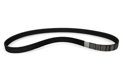 Ford V Belt CN1Z8620B